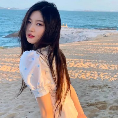 宫廷斗鸡